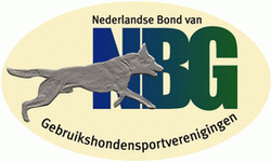 Logo_NBG